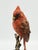 Bronze Brass Scarlet Solstice Red Cardinal Perched With Pinecones Figurine Sculpture For Sale - Image 8 of 8