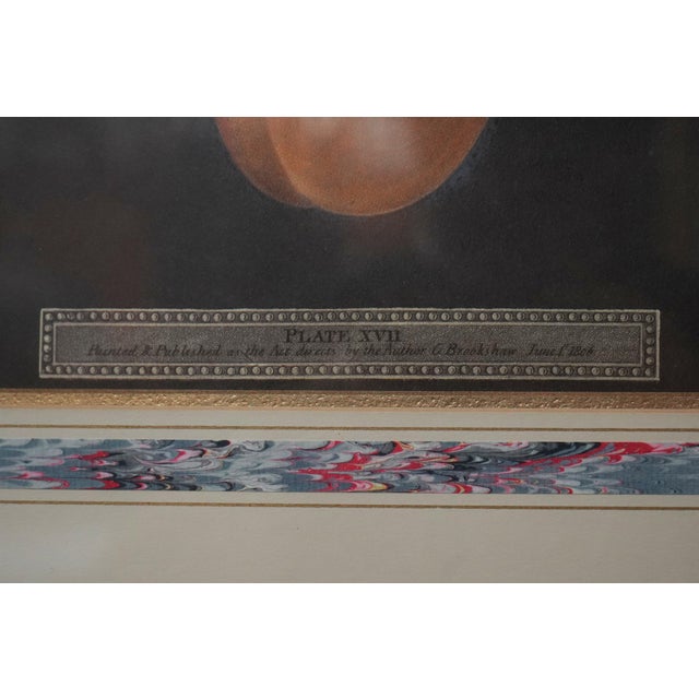 Pair of Fruit Prints by George Brookshaw For Sale - Image 10 of 14