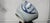 Rare 17th Century Ming Dynasty Wanli Period Swatow Blue and White Bowl 16.5cm For Sale - Image 4 of 11
