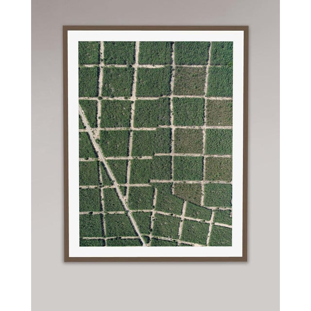 Bernhard Lang, AV_Forests_in_Formation_002, Aerial View, 2025, Print For Sale - Image 6 of 7