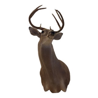 White-Tail Deer Shoulder Mounted Buck For Sale