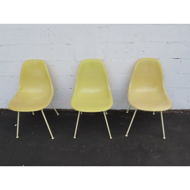 Plastic Herman Miller Eames Set of 3 Fiberglass Shell Chairs 1960s Light Yellow 6640 For Sale - Image 7 of 18