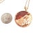 Van Cleef & Arpels Zodiaque Leo Red Jasper Rose Gold Pendant Long Necklace For Sale In Philadelphia - Image 6 of 12