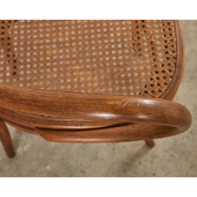 Set of Ten 19th Century J and J Kohn Bentwood Cane Armchairs For Sale - Image 10 of 12