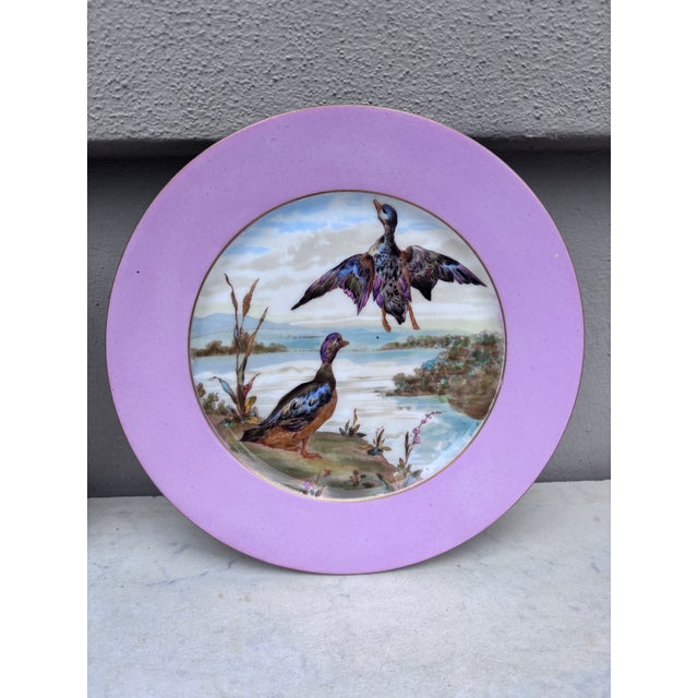 Haviland & Co. Rare French Porcelain Set of 8 Wild Animals Plates Haviland Limoges Circa 1890 For Sale - Image 4 of 12