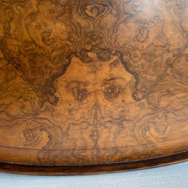 Large English Georgian Style Burled Walnut and Brass Oval Gallery Serving Tray For Sale - Image 11 of 16