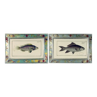 Engravings of Fish Prints - A Pair For Sale