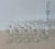 Vintage Hand Cut Blown Glass Decanter & 11 Glasses Set For Sale - Image 9 of 9