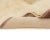 Textile Hand-Knotted Wool Premium Rug by Azele Studio For Sale - Image 7 of 10