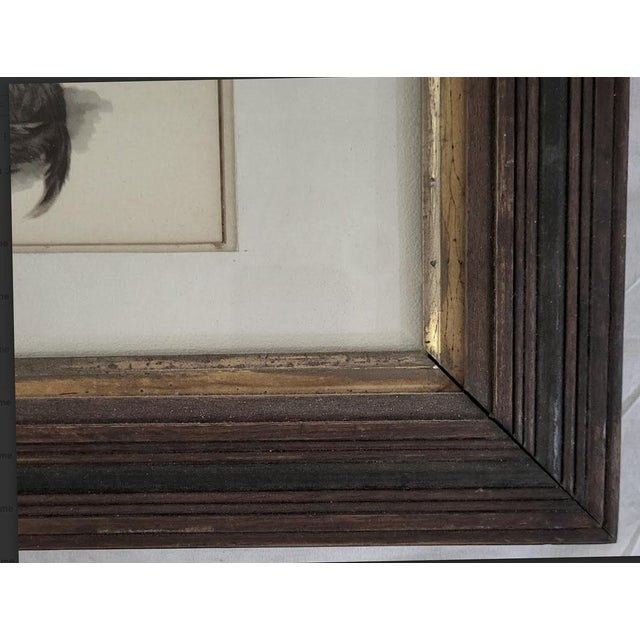 American Litter of Brown Scottie Puppies Vintage Print in Antique Frame & Glass For Sale - Image 3 of 5