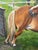 Shetland Groom Original British Equestrian Oil Painting of Two Ponies Framed For Sale - Image 14 of 14