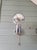1970s Space Age Wall Sconces in Chromed Metal by Motoko Ishii for Staff Leuchten, 1970, Set of 2 For Sale - Image 5 of 17