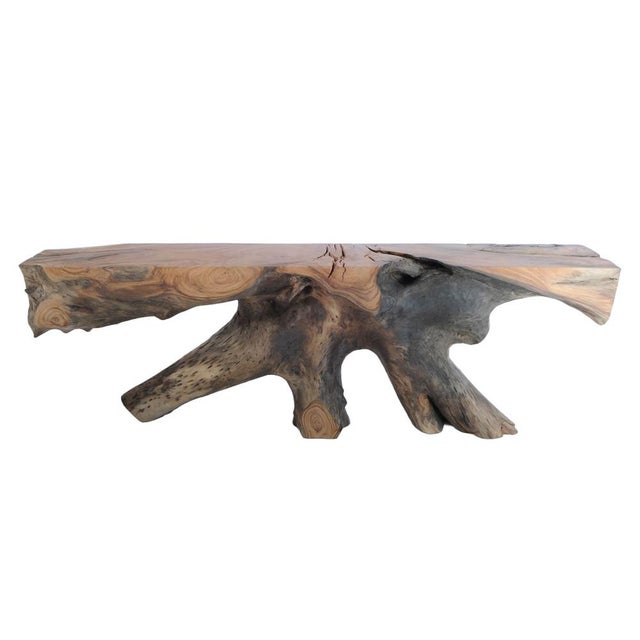 Suar Wooden Console Table by Xyleia Petrified Wood For Sale - Image 6 of 6