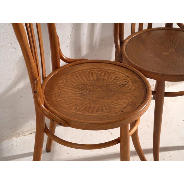 Chairs in Bentwood, Central Europe, 1930, Set of 2 For Sale - Image 3 of 13
