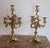 Antique Louis XV Candleholders in Gilt Bronze, Set of 2 For Sale - Image 3 of 18