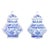 Pair of Blue and White Porcelain Lidded Urns For Sale