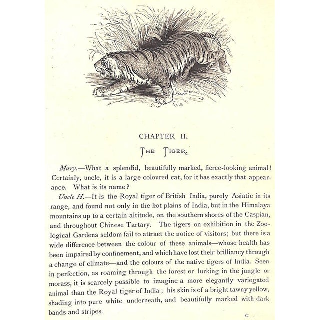 Paper "Our Zoological Friends" 1876 Coultas, Harland For Sale - Image 7 of 10