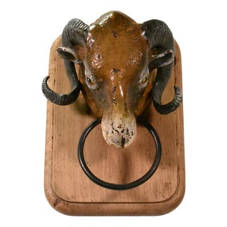 Antique French Rams Head from Butchers Shop, 19th Century For Sale