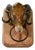 Antique French Rams Head from Butchers Shop, 19th Century For Sale