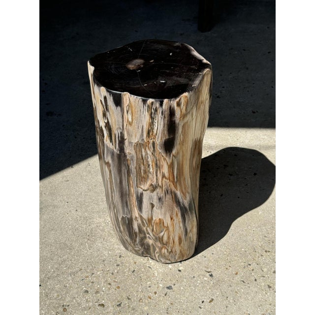 Side Table in Multicolor Petrified Wood with Black Heart For Sale - Image 9 of 18