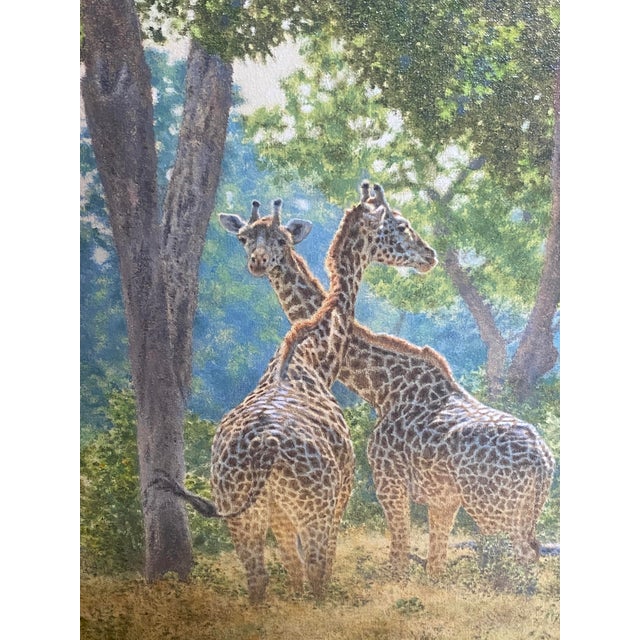 Brian Jarvi oil on canvas original - Old Acquaintances Giraffes in their natural habitat. Purchased from the original...