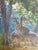 Brian Jarvi oil on canvas original - Old Acquaintances Giraffes in their natural habitat. Purchased from the original...