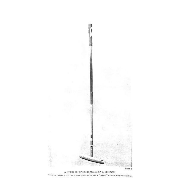 "Polo" 1936 the Earl of Kimberley For Sale In New York - Image 6 of 12