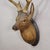 Large Naturalistic Black Forest Carved Deer Head, Ca. 1930s For Sale - Image 4 of 6