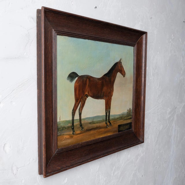 Traditional Hart of Oak Horse Portrait Painting, C.1870 For Sale - Image 3 of 9