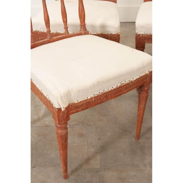 Gustavian (Swedish) Swedish 19th Century Set of 5 Gustavian Dining Chairs For Sale - Image 3 of 12