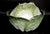 Mid 18th Century Mid 18th Century French Faience Tromp l'Oeil Strasbourg Factory Cabbage Tureen and Cover For Sale - Image 5 of 18