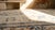 Splendid White Ivory Color With Delicate Palmettes Design Antique Chinese Ningxia Rug For Sale - Image 9 of 9
