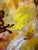 Mid-Century Modern Floral Abstract Acrylic on Board For Sale - Image 12 of 18