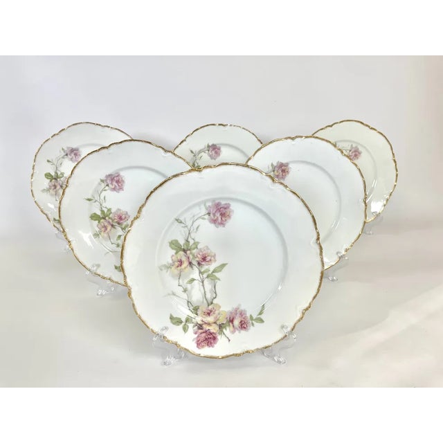 Baltimore Rose Dinner Plates from Haviland Limoges, 1888, Set of 6 For Sale - Image 12 of 12