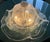 Vintage Murano Ceiling Light, 1990s For Sale - Image 8 of 18