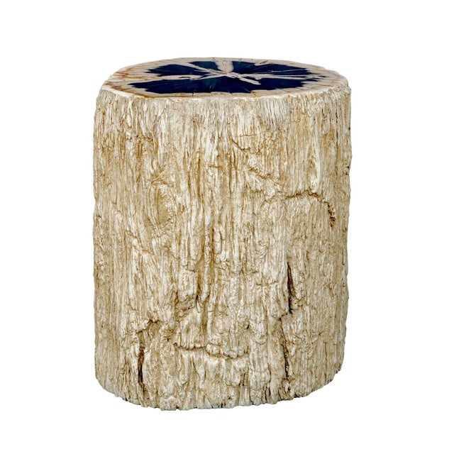 2020s Arco Petrified Wood Top Accent Table For Sale - Image 5 of 7