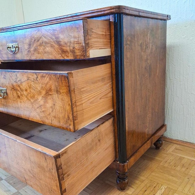 Vintage Biedermeier Chest of Drawers in Walnut, 1830s For Sale - Image 15 of 18