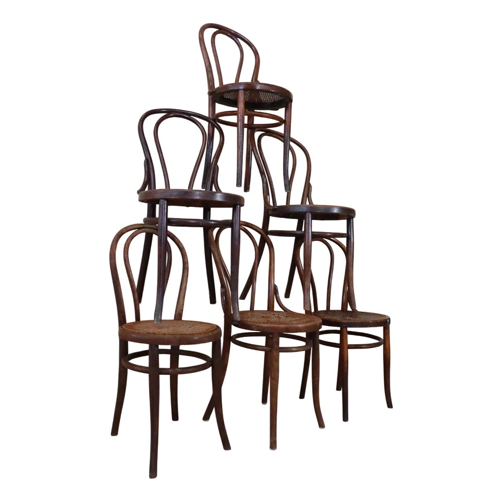 Bentwood Bistro Chairs N°18 from Fischel, 1900, Set of 6 | Chairish