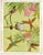 William Neave Parker, Hummingbirds Illustration, 1950s, Gouache For Sale - Image 4 of 9