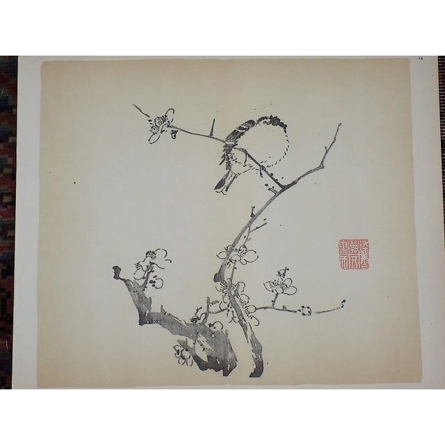 Realism Vintage Signed Chinese Botanical Color Lithographs - Set of 3 For Sale - Image 3 of 9