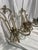 Vintage French Regency style wrought iron wall sconces with a distressed beige finish and sculpted floral candle holders