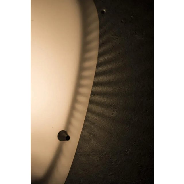 Metal Vintage Wall Lamp, 1950s For Sale - Image 7 of 8