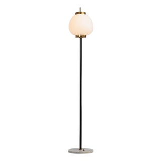 Standard Floor Lamp by Bruno Gatta for Stilnovo, 1951 For Sale