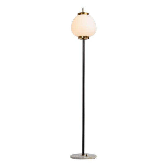 Standard Floor Lamp by Bruno Gatta for Stilnovo, 1951 For Sale
