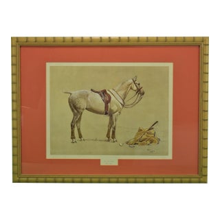 Cecil Aldin 'Activity' Polo Pony Hand-Colour Plate For Sale