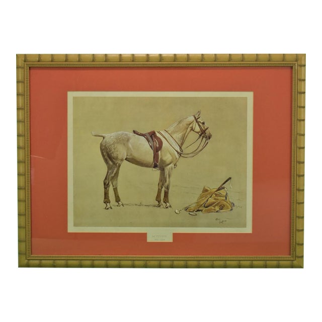 Cecil Aldin 'Activity' Polo Pony Hand-Colour Plate For Sale