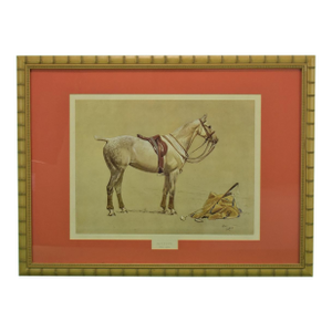 Cecil Aldin 'Activity' Polo Pony Hand-Colour Plate