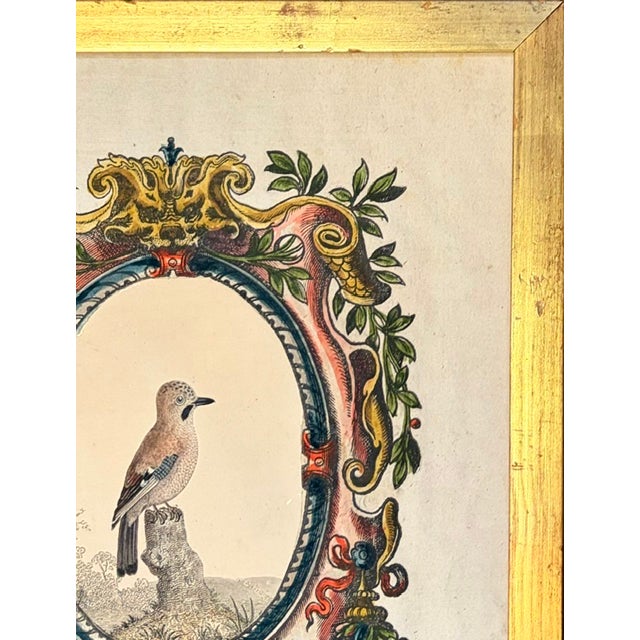 Early Bird Print in a Giltwood Frame, Signed by a Connecticut Gallery on Back Side For Sale - Image 4 of 7