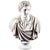 Mark Antony Bust Sculpture, 20th Century For Sale - Image 10 of 10
