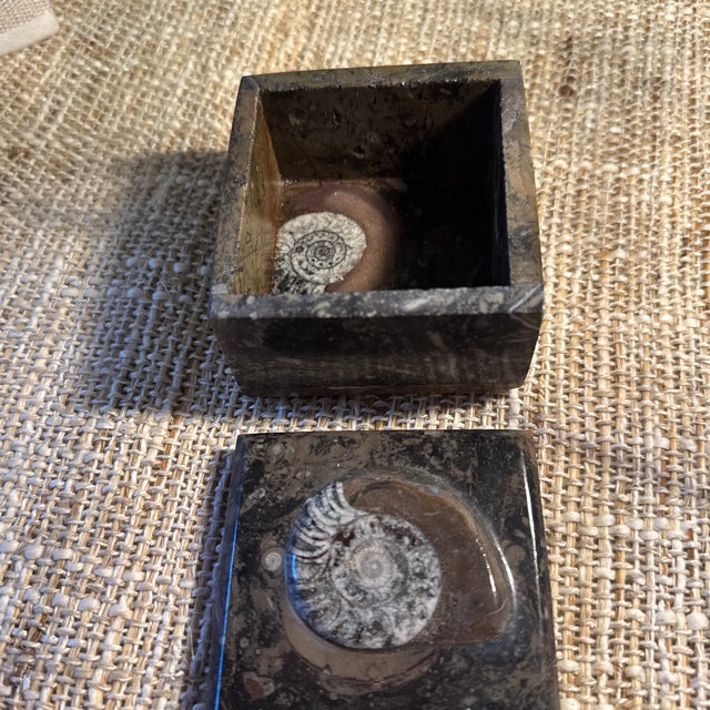 Add a bold, natural statement to your décor with this rectangular spiral stone box featuring a striking black and...